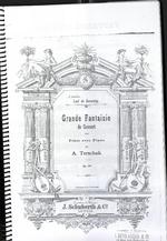 Grande Fantaisie de Concert pour Flûte avec Piano op. 28. À Monsieur Loui de Boronkay.